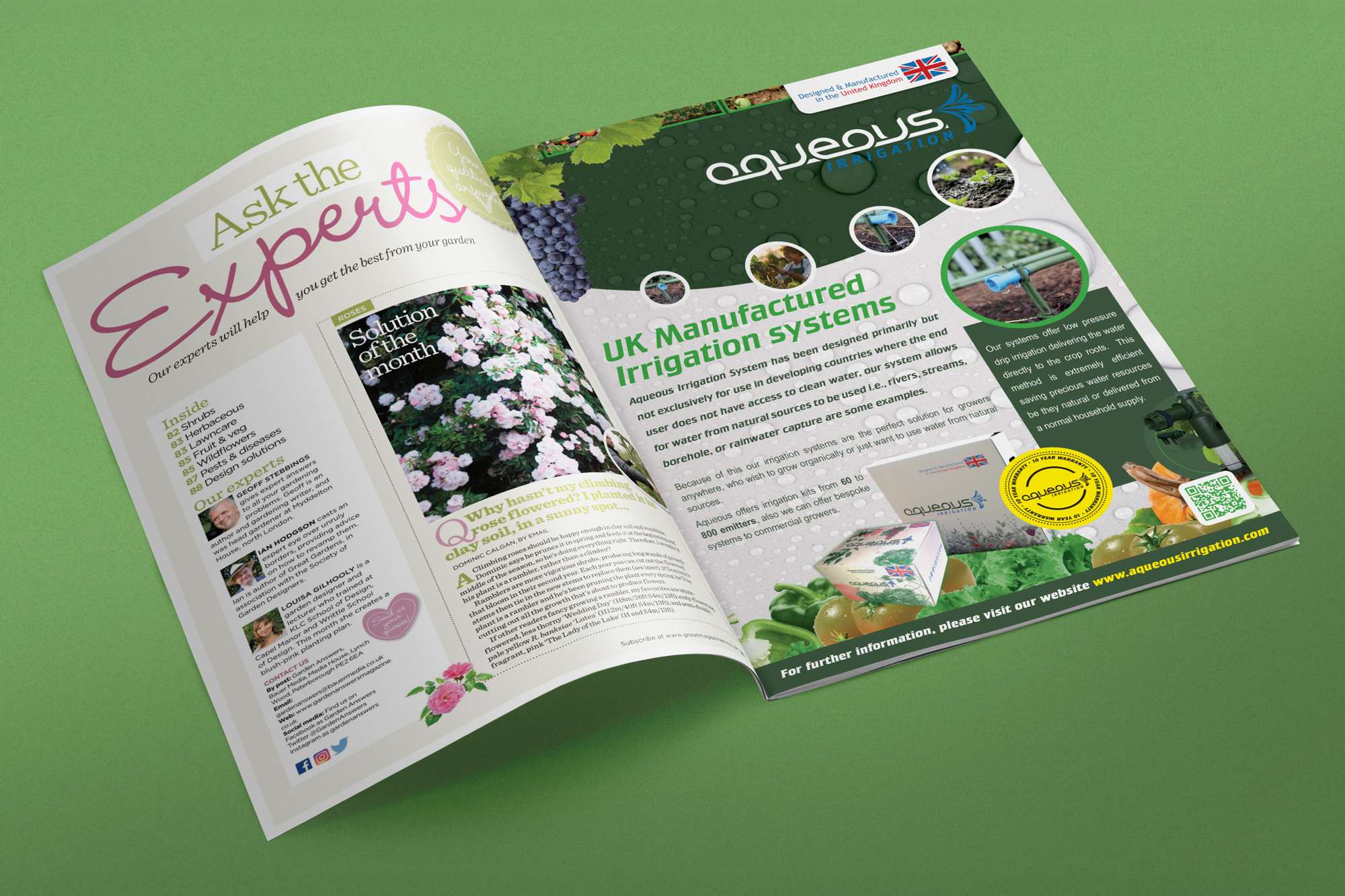 Flyer design for Aqueous Irrigation