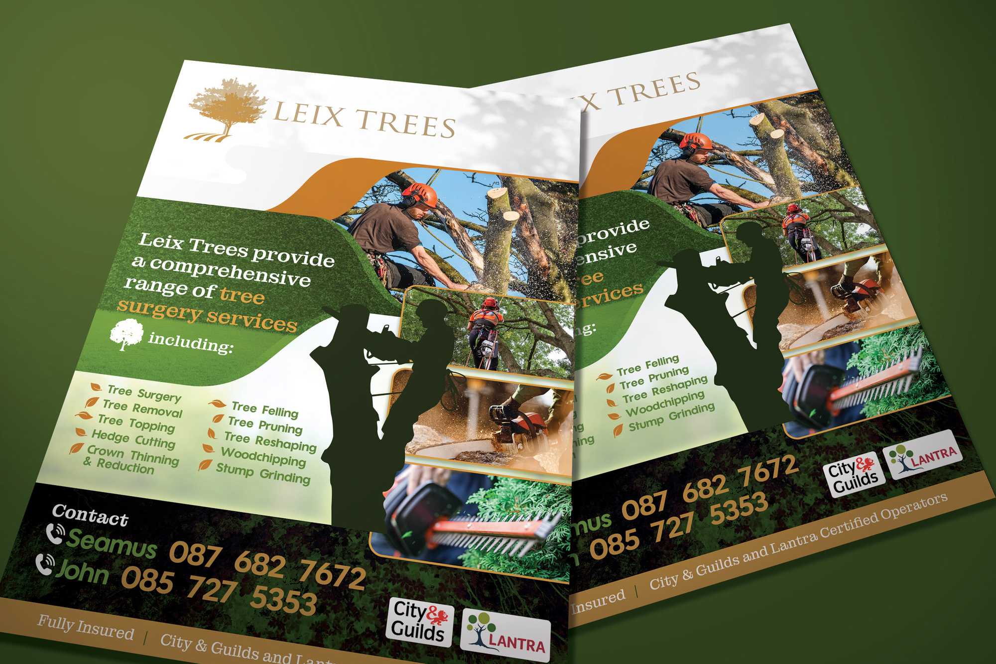 Flyer design for Leix Trees