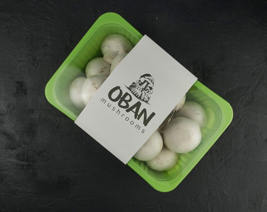 Logo design for Oban Mushrooms